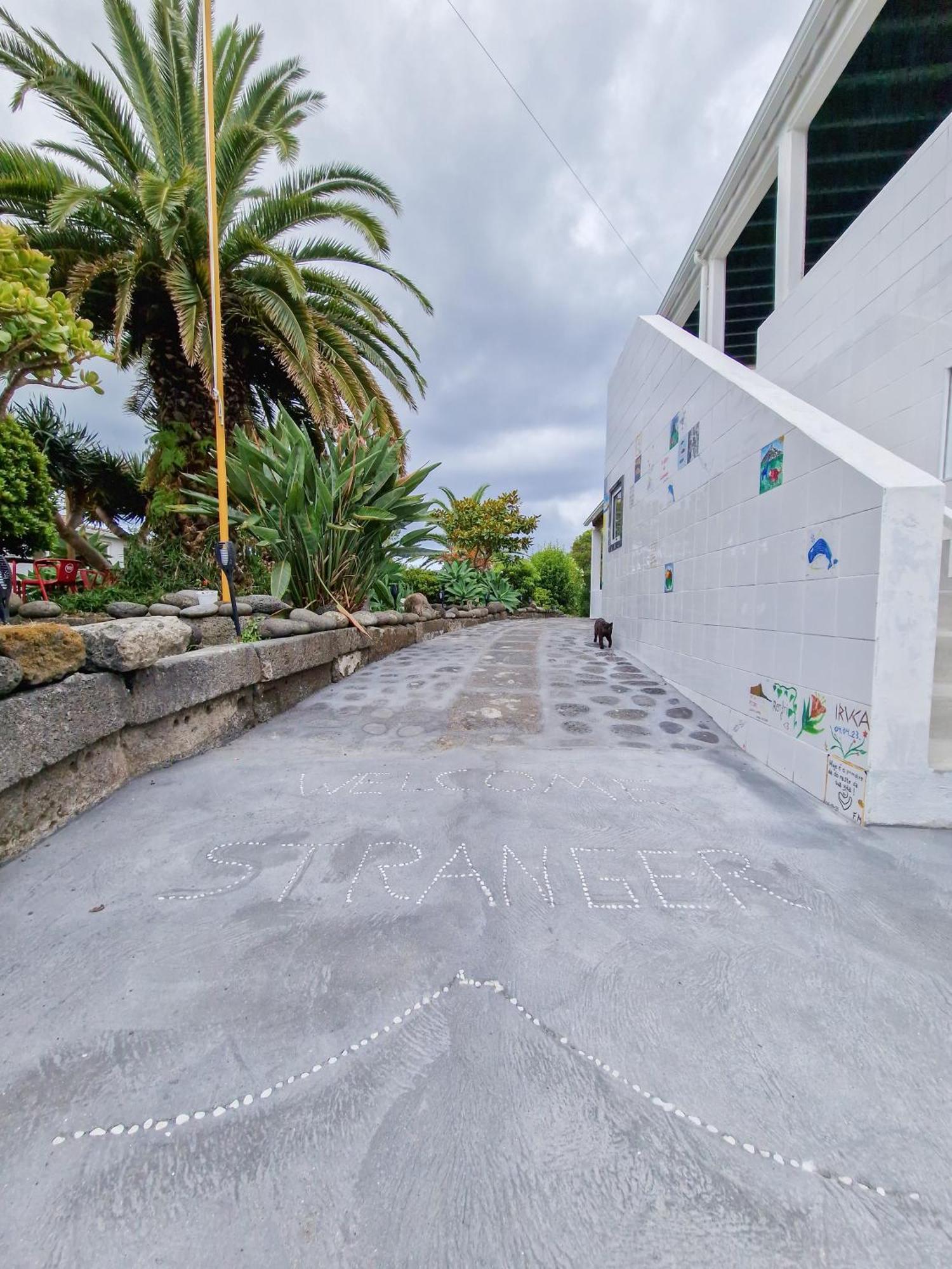 Loving Strangers Hostel مادالينا المظهر الخارجي الصورة